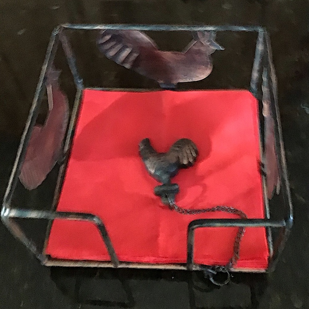 Outdoor Napkin Holder